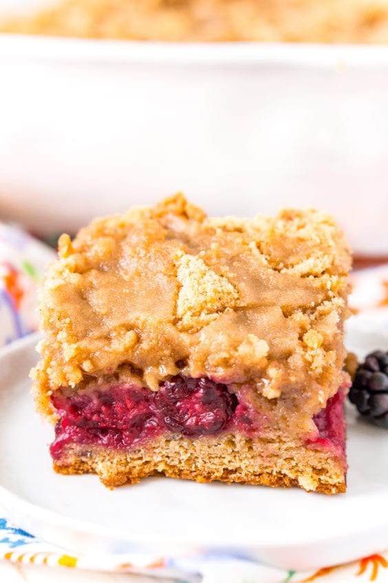 Blackberry Coffee Cake With Brown Sugar Crumble 