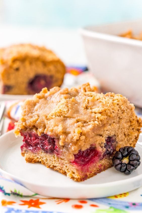 Blackberry Coffee Cake With Brown Sugar Crumble | Sugar And Soul