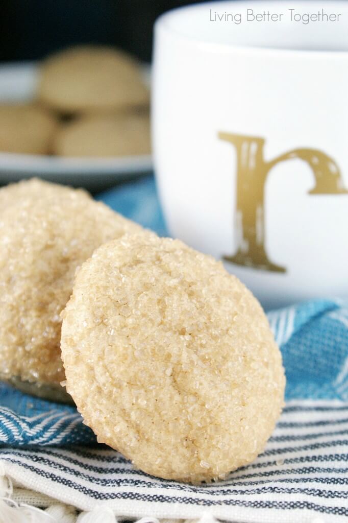 ginger-nut-biscuits-the-outlander-recipe-series