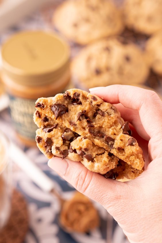 Cookie Butter Chocolate Chip Cookies