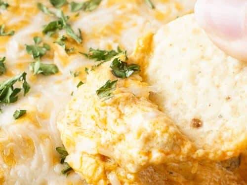 Slow Cooker Buffalo Chicken Dip - My Baking Addiction