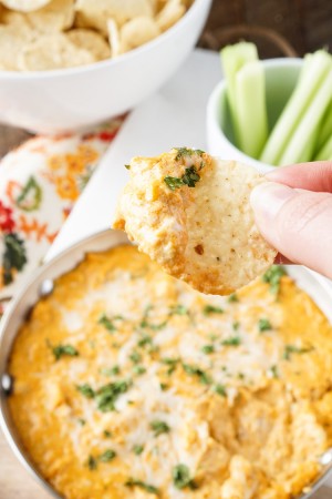 Easy Baked Buffalo Chicken Dip Recipe | Sugar & Soul