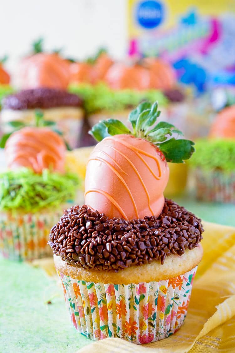 15 Best Easy Easter Cupcakes Easy Recipes To Make At Home
