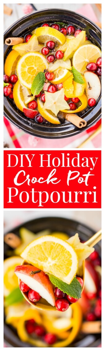Crock Pot Christmas Potpourri - 2 Bees in a Pod