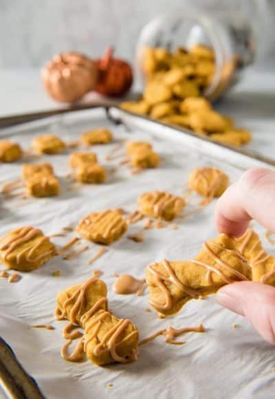 Why should humans get all the tasty fall desserts? Treat your pup to these homemade dog treats and let 'em revel in the season with you!