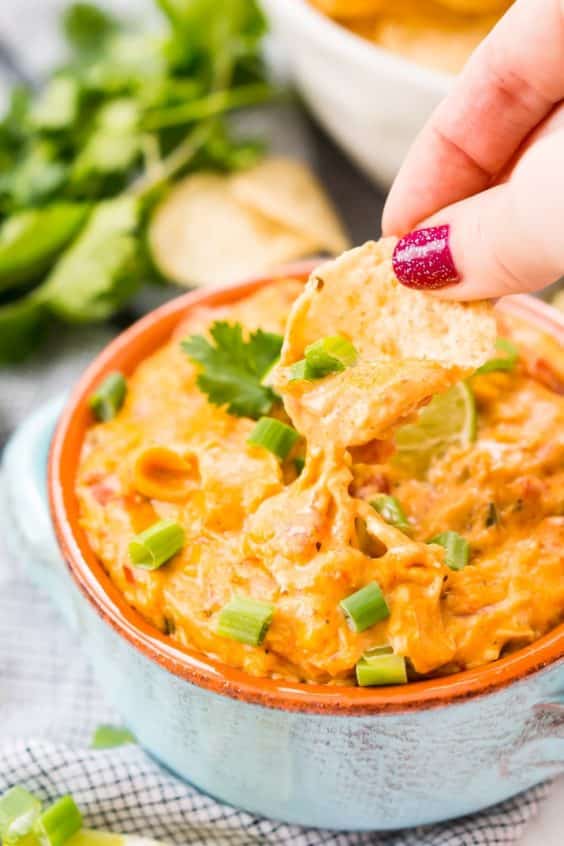 Slow Cooker Chicken Queso Dip Recipe Sugar & Soul