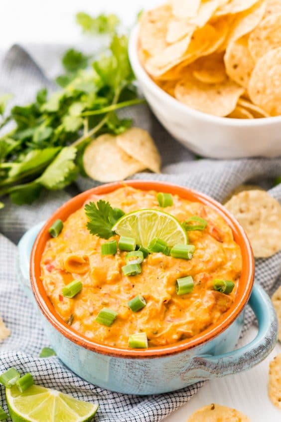 Slow Cooker Chicken Queso Dip Recipe | Sugar & Soul