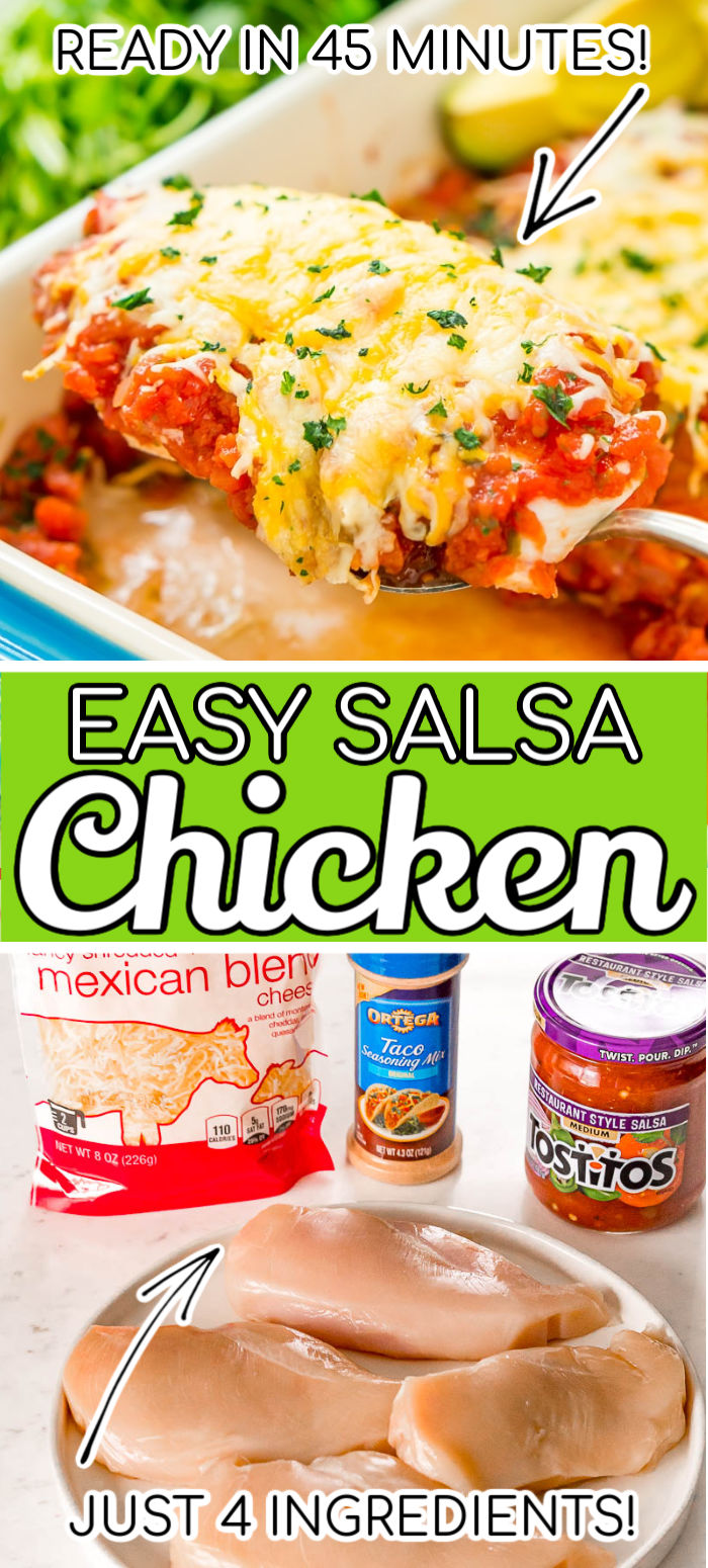 Salsa Chicken Recipe - Sugar and Soul