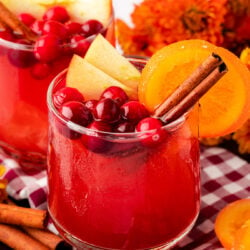 Close up of a glass filled with Thanksgiving punch and garnishes.