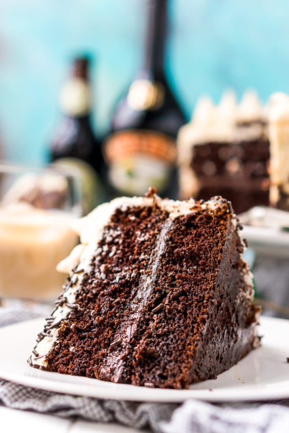 Chocolate Guinness Cake Recipe | Sugar & Soul Co