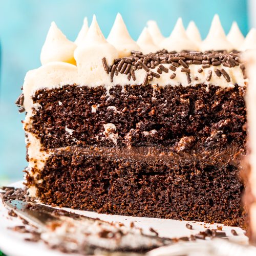 Chocolate Guinness Cake Recipe | Sugar & Soul Co