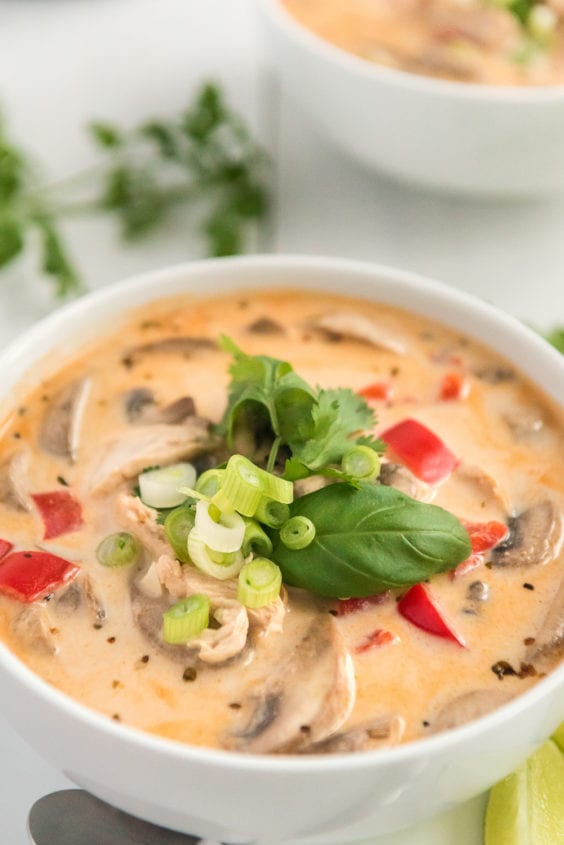Thai Chicken Coconut Soup - Sugar and Soul