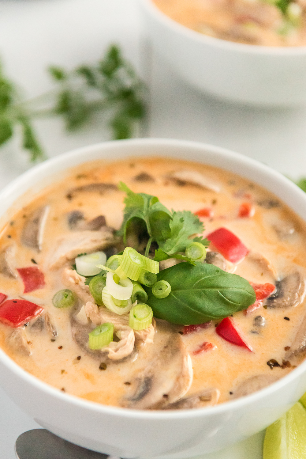 Tom Kha Gai Thai Chicken Coconut Soup | Sugar and Soul