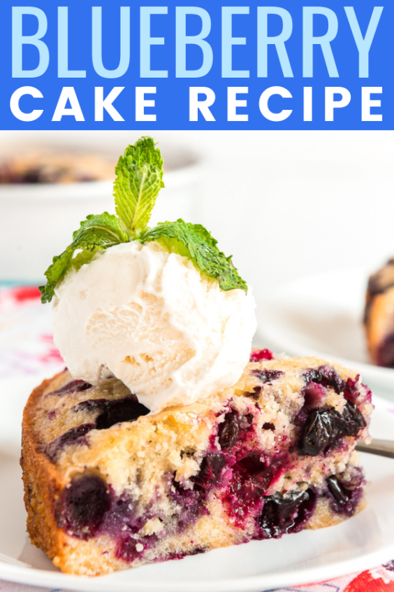 Blueberry Cake Recipe | Sugar and Soul