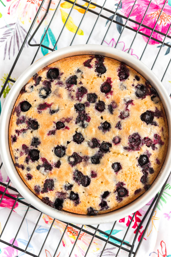 Blueberry Cake Recipe | Sugar and Soul