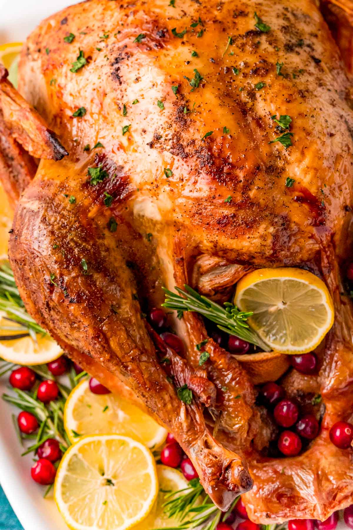 Turkey FUNdamentals: Top Questions for Cooking a Turkey