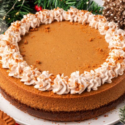 Close up of a whole gingerbread cheesecake on a white cake stand.