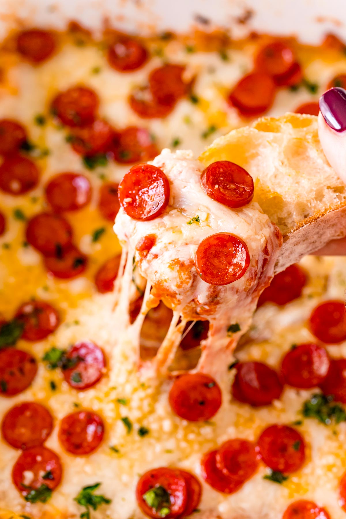White Pizza Dip with Pepperoni - Plain Chicken