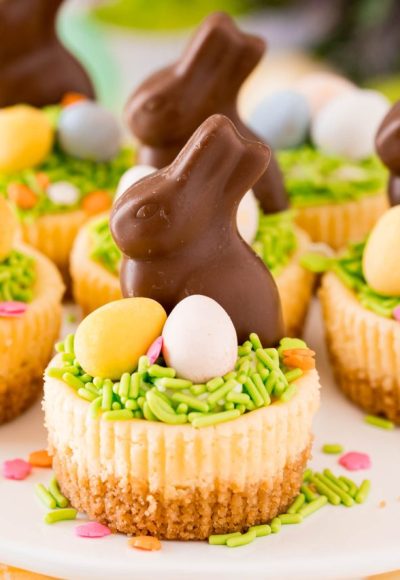 Close up photo of a mini cheesecake topped with green sprinkles, mini cadbury eggs, and chocolate bunny.