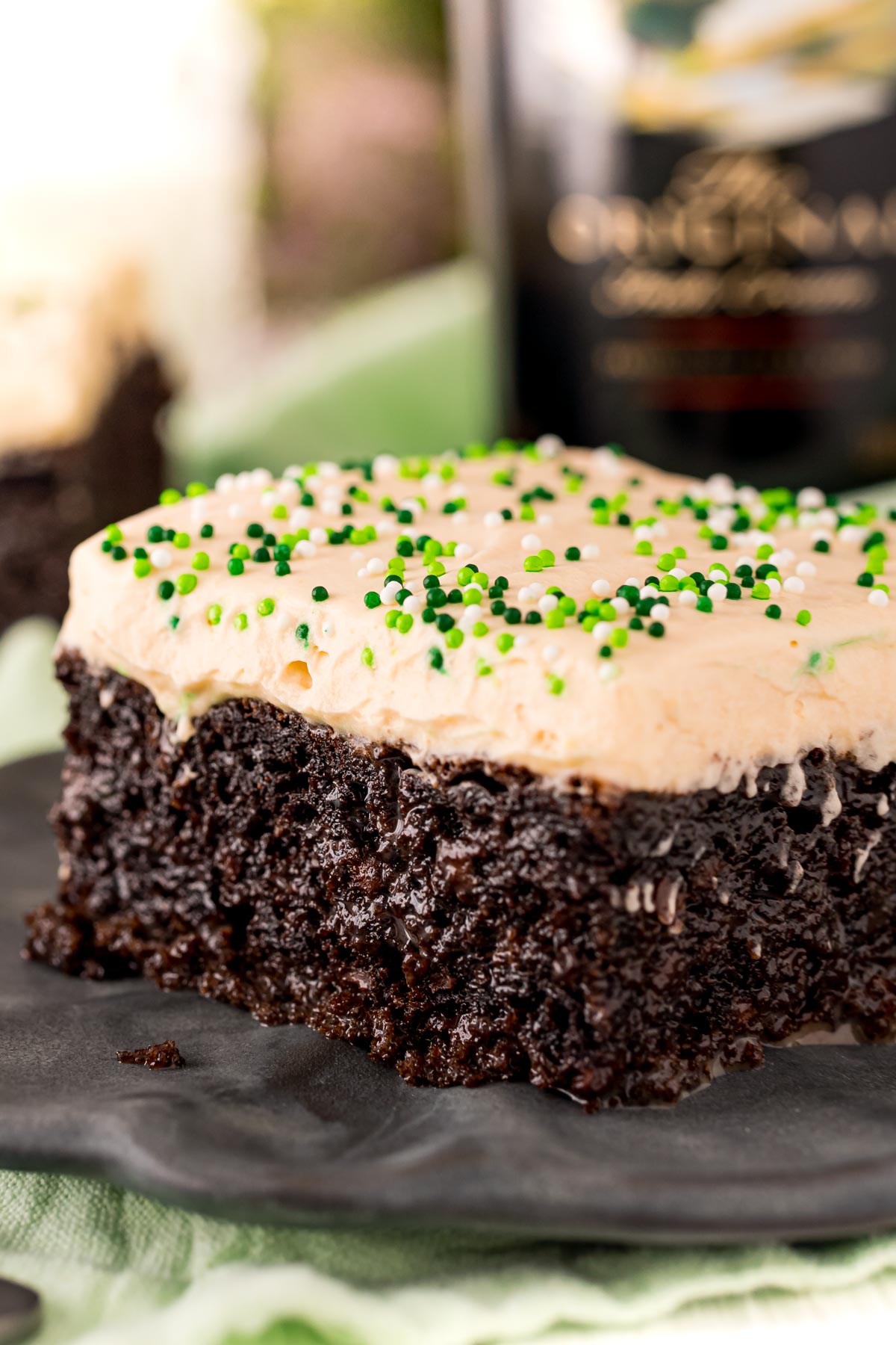 Chocolate Irish Cream Cake Recipe | Sugar & Soul