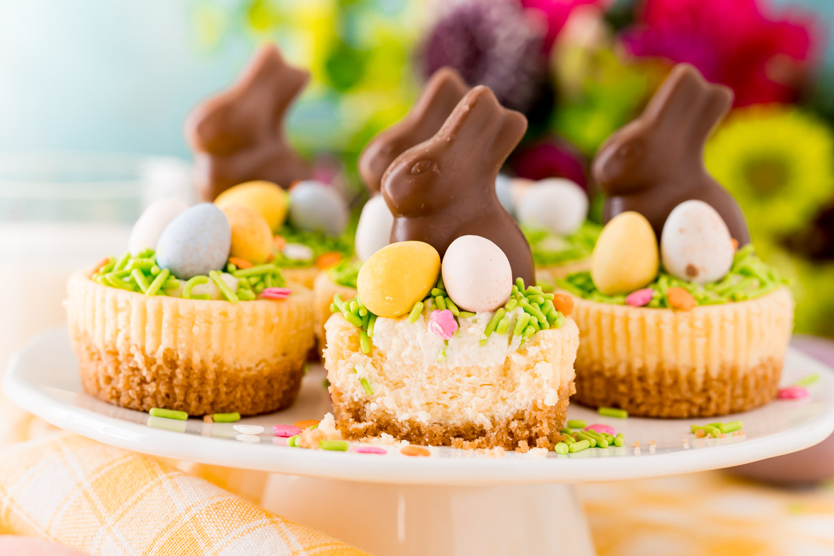 Mini Easter Cheesecakes with Bunnies in Grass