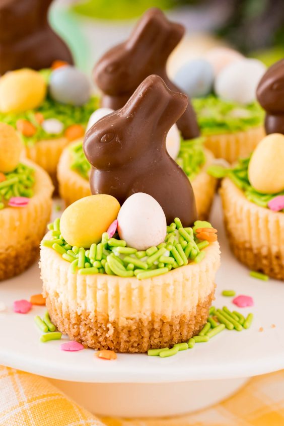 Mini Easter Cheesecakes With Cadbury Eggs - Sugar and Soul