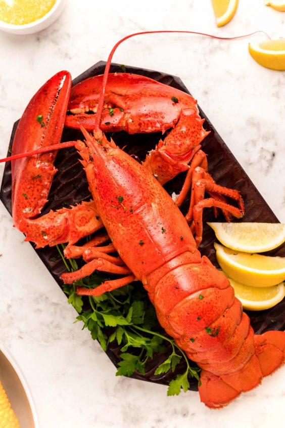 How To Steam Lobster - Sugar and Soul