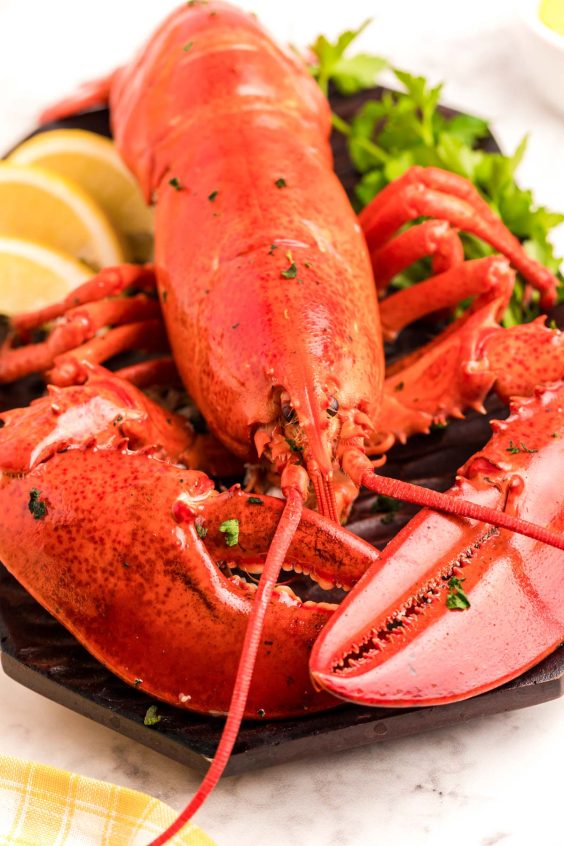 How To Steam Lobster - Sugar and Soul