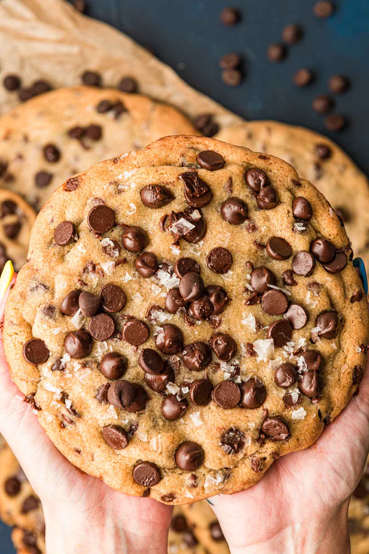 Big Giant Chocolate Chip Cookie - Our Best Bites