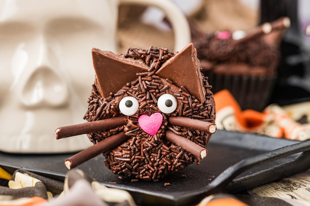 Halloween Black Cat Cake Recipe - BettyCrocker.com