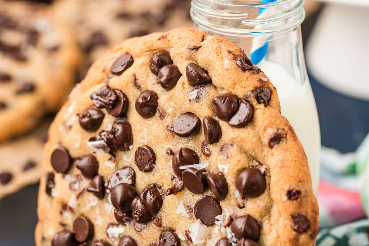 Giant Chocolate Chip Cookie - Together as Family