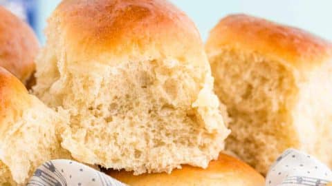 Quick and Easy Soft Sourdough Discard Dinner Rolls - Make It Dough