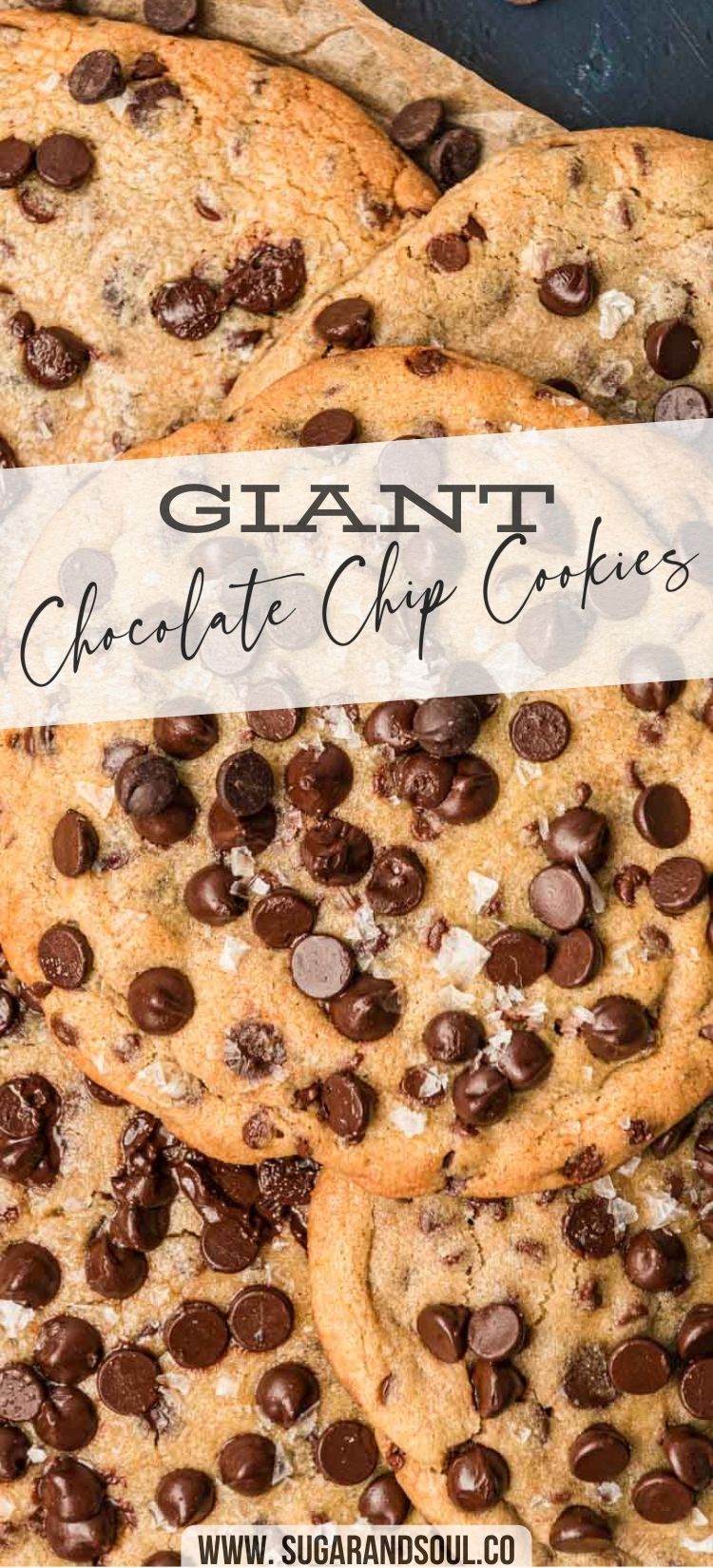 

The Best Giant Chocolate Chip Cookies
Giant Chocolate Chip Cookies are deliciously soft and chewy treats that are made with pantry staple ingredients and a mixture of chocolate chips! No need to chill the dough for these EPIC cookies!

Check out more great cookie recipes like these Chocolate Chip Oreo Cookies or Big & Chewy M&M Cookies! Both recipes bake up to mouthwatering treats just like these jumbo cookies!

Giant chocolate chip cookie leaning against a bottle of milk.
The only thing better than a chocolate chip cookie is a GIANT one! These Giant Chocolate Chip Cookies are what cookie dreams are made of with their chewiness, endless amount of chocolate chips, and flaky sea salt topping!

Perfect to enjoy with a scoop of ice cream on top! Or slightly warmed up in the microwave and then enjoyed with an ice-cold glass of milk!

All About These Yummy Giant Chocolate Chip Cookies!
Taste: Ingredients such as sugar, vanilla bean paste, butter, and flour all come together to form a tasty homemade cookie base. Afterward, a mixture of dark and semi-sweet chocolate chips loads up the dough while the tops are finished off with flaky sea salt.

Texture: These jumbo cookies turn out enticingly soft and chewy every time! The perfect delicious texture that every homemade cookie should have!

A woman's hands holding a giant chocolate chip cookies.
Choosing The Chocolate In This Recipe For Giant Chocolate Chip Cookies!
The chocolate is one of the most important parts of a delicious chocolate chip cookie... am I right?! Therefore, when testing this recipe I used several volumes, ratios, and varieties to find what worked best in this cookie recipe!

Ultimately, I found that more than 4 cups of chocolate chips in the dough felt like too much chocolate in this Giant Chocolate Chip Cookie recipe. This balance of chocolate to dough yields the perfectly soft texture of the cookie that I was aiming for!

My taste buds finally chose that these cookies were best when using a mixture of extra dark chocolate chips and mini semi-sweet chocolate chips! And I do not recommend using chocolate chunks!

Chocolate chunks firm back up a bit harder than chocolate chips after baking and we want soft, chewy cookies!

Giant chocolate chip cookies piled on a serving tray.
We tested this recipe for six months to make sure it was absolutely perfect so I have lots of tips and tricks for getting BIG, chewy, and gooey cookies with this recipe!

Tips For How To Make Giant Chocolate Chip Cookies!
Cornstarch - This simple ingredient is key for these cookies turning out soft and chewy so it's important not to leave it out!
Vanilla Bean Paste - Using vanilla bean paste over extract delivered slightly less bitter cookies with a more balanced flavor! However, you could use vanilla extract in this recipe if that's all you have. The cookies will still be delicious! 
Creaming Ingredients - The final structure of the cookies relies heavily on creaming the butter and sugar together for 2 minutes. Don't shortcut this step!
Cooling Time - Once the giant chocolate chip cookies have baked, they need to remain on the baking sheet to cool down for at least 15 minutes. This allows them to firm up before transferring them, if not the cookies will likely fall apart!
Parchment Paper - Lining the baking sheet with parchment paper ensures the easiest transfer from the baking sheet to the wire rack without jeopardizing the cookies! I do not recommend using silicone baking mats. This is my favorite parchment paper for baking (affiliate link).
Baking Pans - Using two allows you to prep the next batch while the other baking pan is in the oven so it's ready to go as soon as they come out.
Mixing Shield - This recipe uses a lot of flour and I highly recommend using the flour shield (affiliate link) for your bowl of a stand mixer to prevent it from going everywhere.
Want to freeze these cookies? Portion the dough out into 1-cup sized balls as directed then add them to a large freezer bag, removing any excess air, and freeze for up to 3 months. You will need to let them thaw in the refrigerator so that you can press them before baking.

Step by step photo collage showing how to make giant chocolate chip cookies from scratch.
If you know me, then you know my love for chocolate chip cookies runs far and wide! From classic Bakery Style Chocolate Chip Cookies to safe-to-eat Edible Cookie Dough, I've covered some good ground!

I've even perfected the Chocolate Chip Cookie For One for when you want to treat yourself without baking up a whole batch! But since fall is in the air, my go-to cookie right now is these Oreo Pumpkin Chocolate Chip Cookies - SO good!

Storage Instructions
Store these Giant Chocolate Chip Cookies in an airtight container at room temperature. Since the cookies are soft, I'd recommend separating the layers with parchment paper, so they don't stick together.

Enjoy these giant cookies for up to 3 days!

Your site doesn’t include support for the "acf/notes-block" block. You can leave it as-is or remove it.

A woman's hands breaking apart a giant chocolate chip cookie.
How Come A Few Of My Cookies Turned Out Dry?
Some of the flour likely settled in the bottom of the bowl during the mixing process. Therefore, when you scooped out your last few cookies to bake, they were filled with extra flour.

To avoid this from happening, I suggest using a rubber spatula or your hands to work the drier bits into the dough. Just be sure you don't continue mixing with the mixer!

Doing so will overwork the dough and won't scrape the extra flour off the bottom of the bowl!

What Other Size Measuring Cup Would Work To Make Big Cookies?
For cookies that aren't as giant (but still are large!) you can use a 1/2 cup measuring cup! This will allow you to fit 4 cookies on the baking sheet. You can also make them in 1/4 cup size (or large cookie scoop (affiliate link) - 3 tablespoons), which will fit 6 on a baking sheet.

You'll also want to change the baking time down to 6 to 9 minutes depending on size.

Can I Use Salted Butter?
Yes, in fact, I love these Giant Chocolate Chip Cookies when made with salted butter! However, I would skip the flaky salt topping, but no other changes need to be made to the recipe.

A giant chocolate chip cookie with a bite taken out of it on a blue plate with a bottle of milk next to it and more cookies in the background.
The render template for this ACF Block was not found



Giant chocolate chip cookie leaning against a bottle of milk.
Sugar and Soul Logo
5 from 7 votes
Giant Chocolate Chip Cookies
Author Rebecca HubbellCourse DessertCuisine American Prep Time 15minutes minutesCook Time 12minutes minutesCooling Time 30minutes minutesTotal Time 57minutes minutes
 Servings 8 cookies
 Print
 Pin
 Rate
Giant Chocolate Chip Cookies are deliciously soft and chewy treats that are made with pantry staple ingredients and a mixture of chocolate chips! Each batch bakes up in just 12 minutes! via @sugarandsoulco