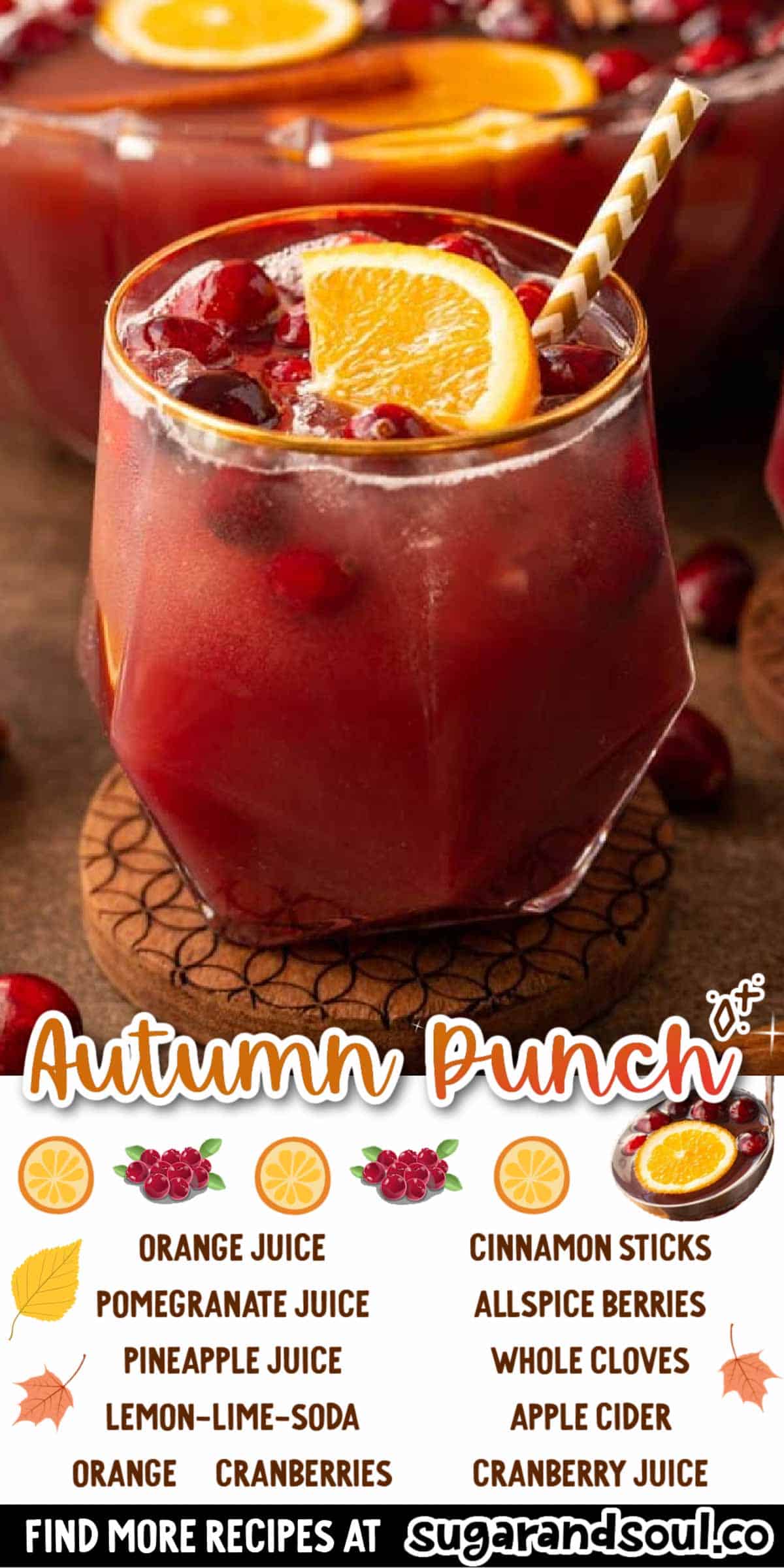 This Autumn Punch is a flavor-packed family-friendly drink that combines 5 different types of juices with spices, and lemon-lime soda! The perfect punch to serve at gatherings and holidays! via @sugarandsoulco