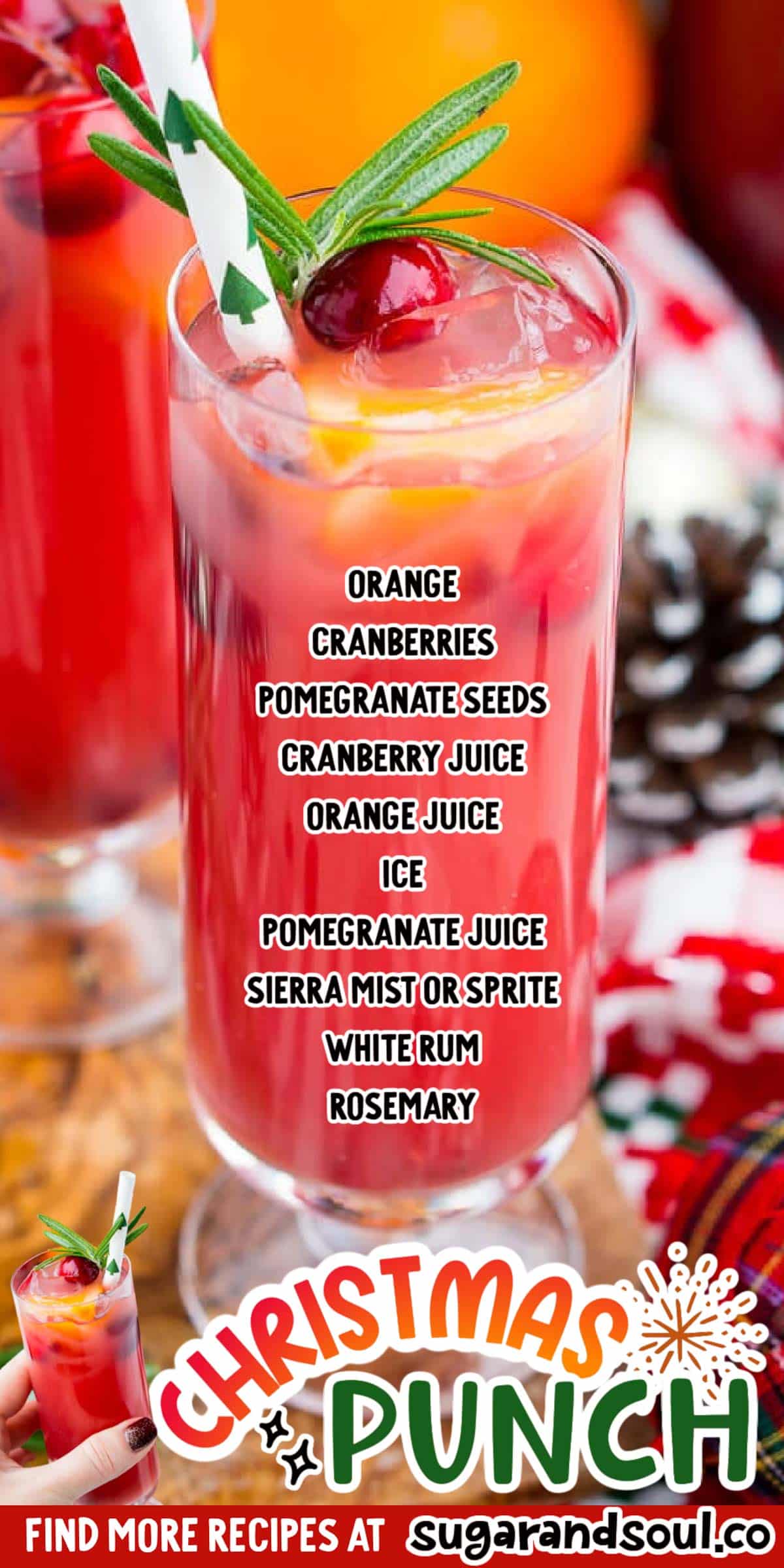 Christmas Punch {Best Batch Holiday Cocktail} –