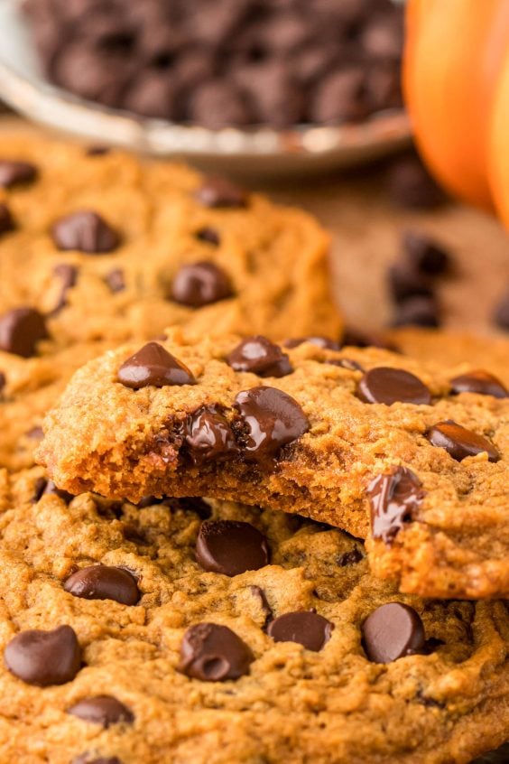 Best Pumpkin Chocolate Chip Cookies Sugar And Soul   Soft Pumpkin Chocolate Chip Cookies 39 564x846 