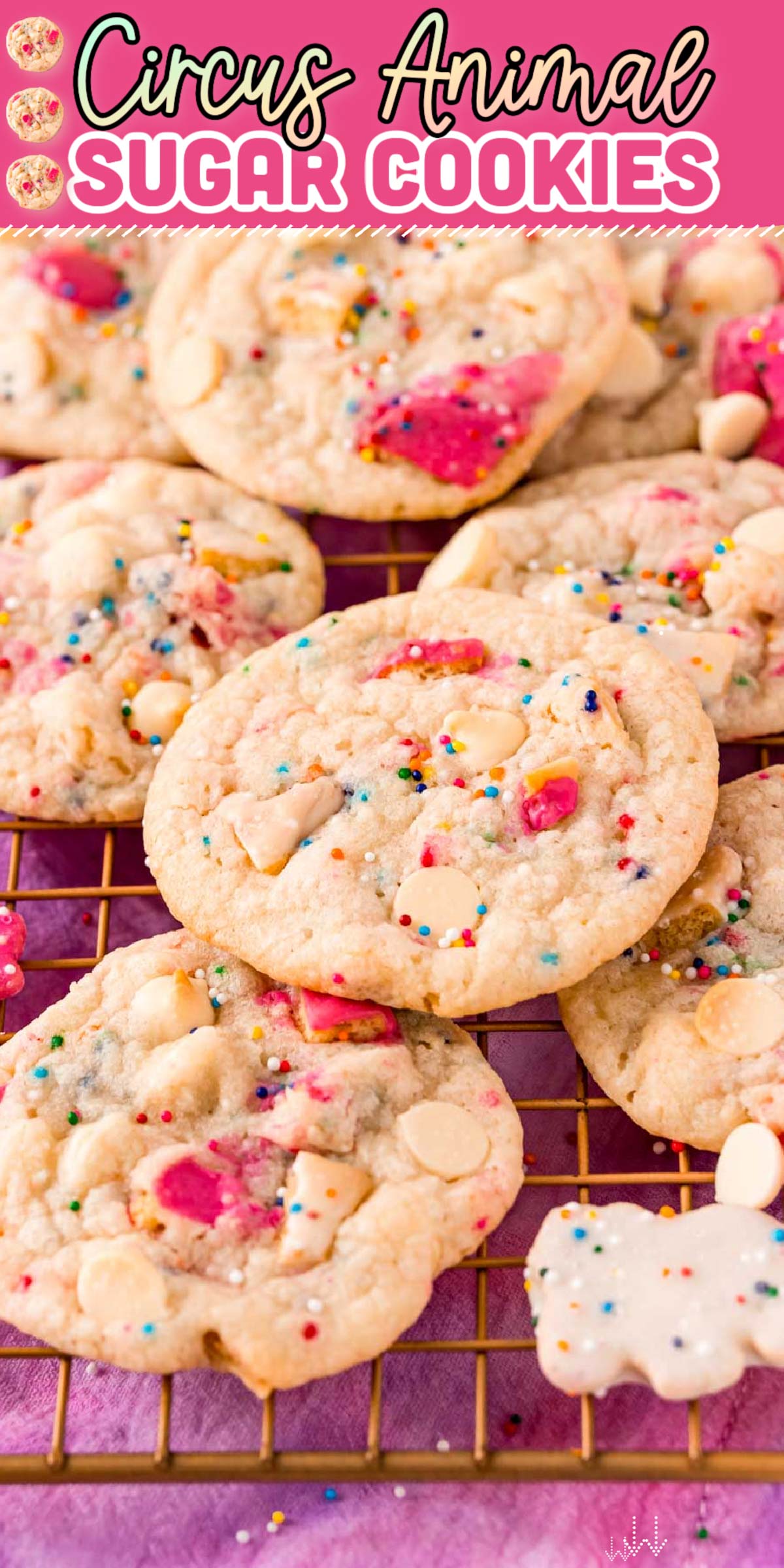 Circus Animal Cookies are fun, sweet, and delicious treats that are loaded with circus animal cookies, white chocolate chips, and sprinkles! Made with refrigerated cookie dough for a fast and easy 4-ingredients dessert! via @sugarandsoulco