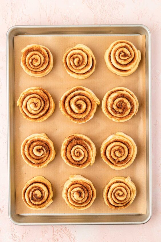 Overhead of a sheet pan of cinnamon rolls ready to rise.