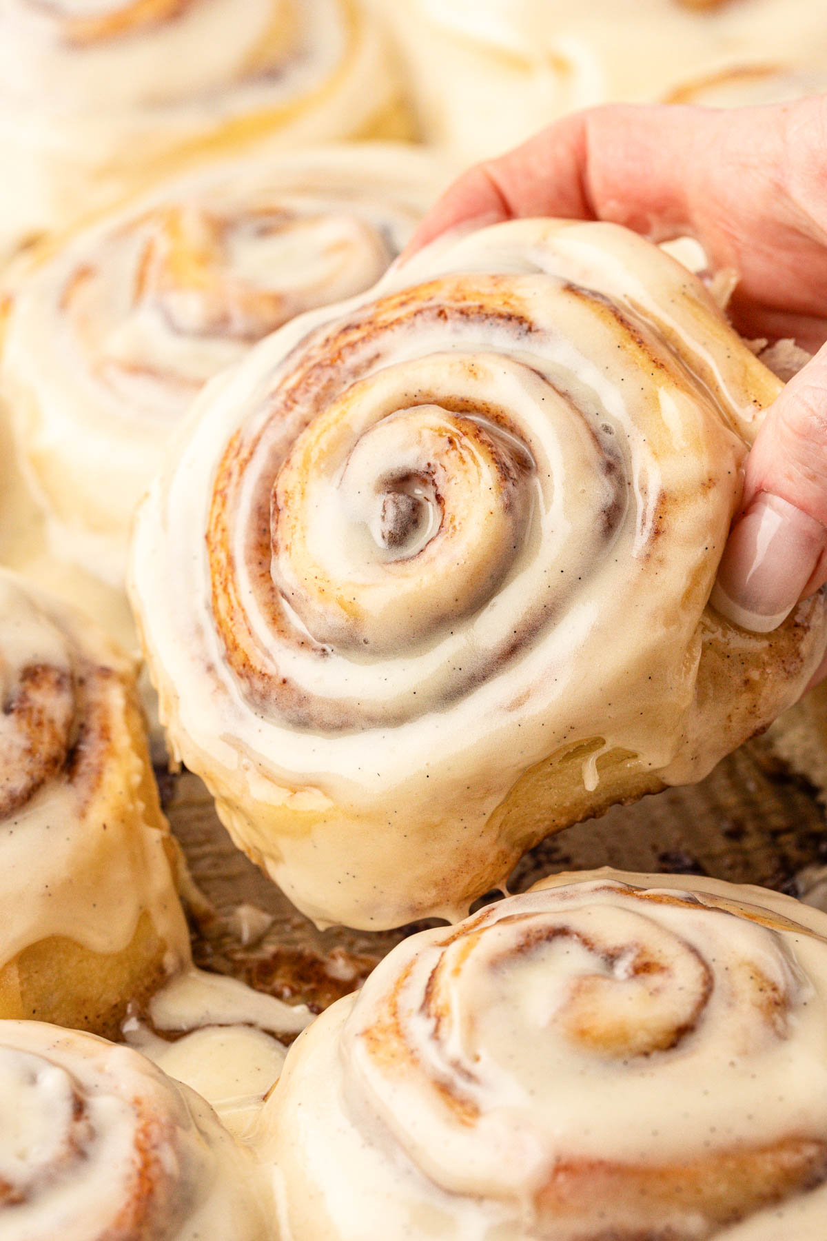 A cinnamon roll being picked up out of a pan of cinnamon rolls. 