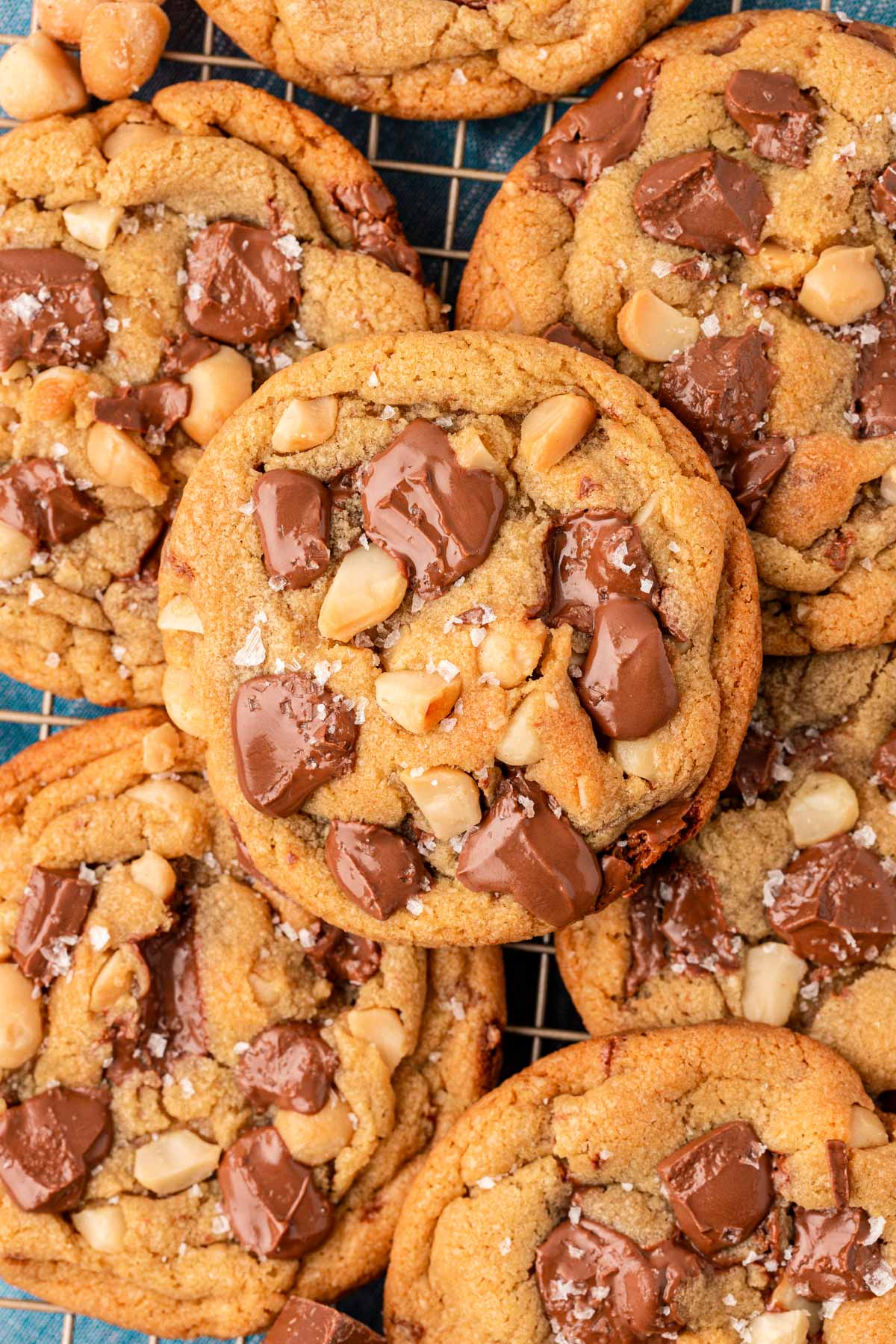 Overhead photo of a wire rack covered in Sausalito macadamia chocolate chip cookies.