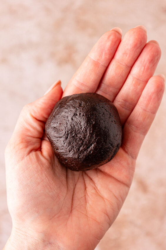 A ball of chocolate cookie dough in a woman's hand.